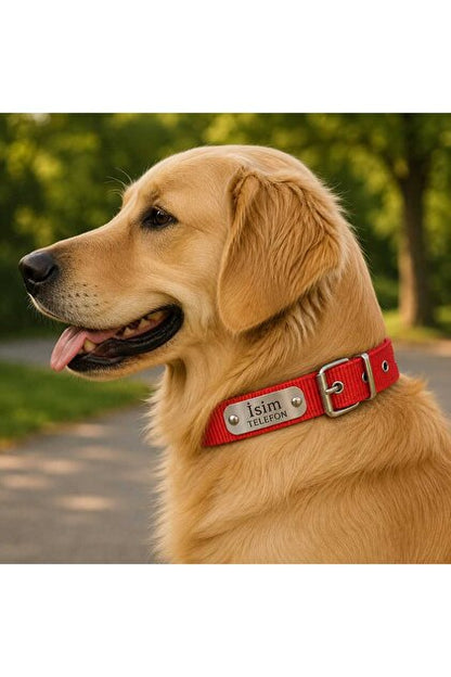 Kişileştirilebilir Köpek Tasması İsim Ve Telefon