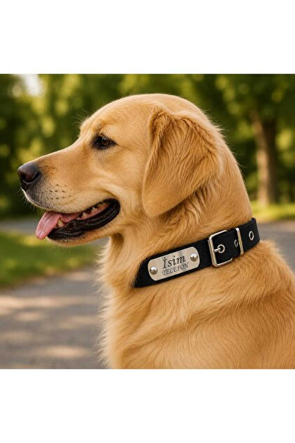 Kişileştirilebilir Köpek Tasması İsim Ve Telefon