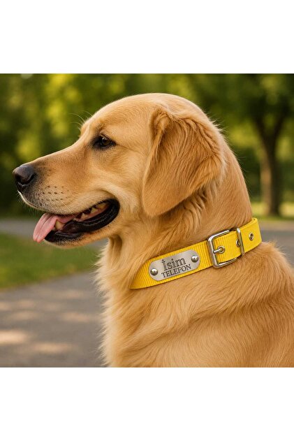Kişileştirilebilir Köpek Tasması İsim Ve Telefon
