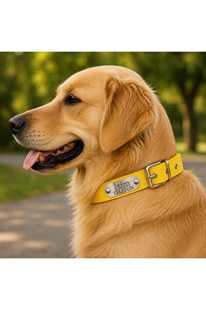 Kişileştirilebilir Köpek Tasması İsim Ve Telefon