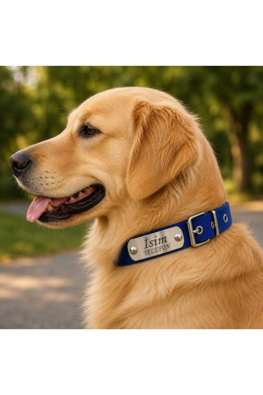 Kişileştirilebilir Köpek Tasması İsim Ve Telefon