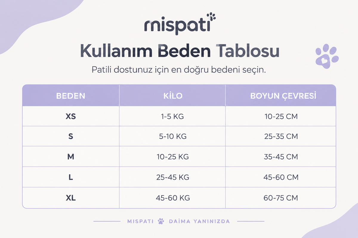 Kişileştirilebilir Köpek Tasması İsim Ve Telefon