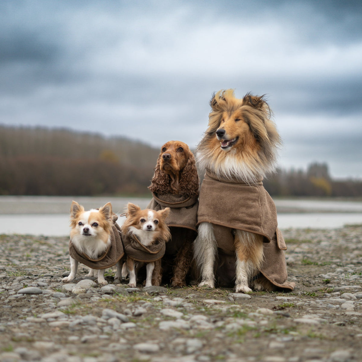 Bambu Kumaş Köpek Bornozu