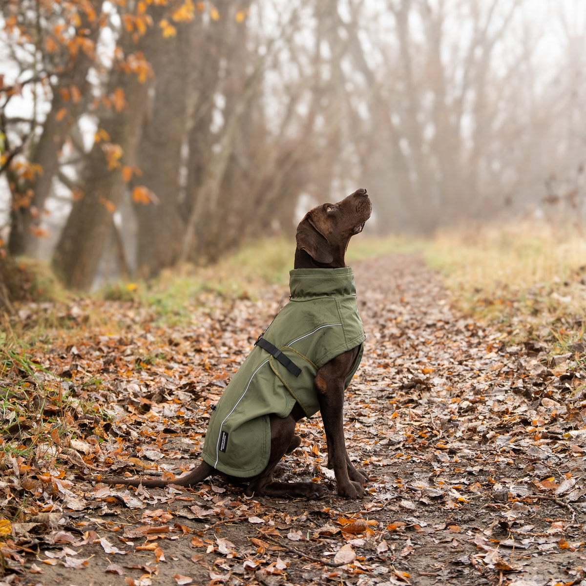 Termal Su Geçirmez Köpek Ceketi