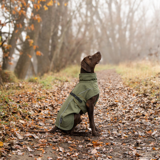 Termal Su Geçirmez Köpek Ceketi
