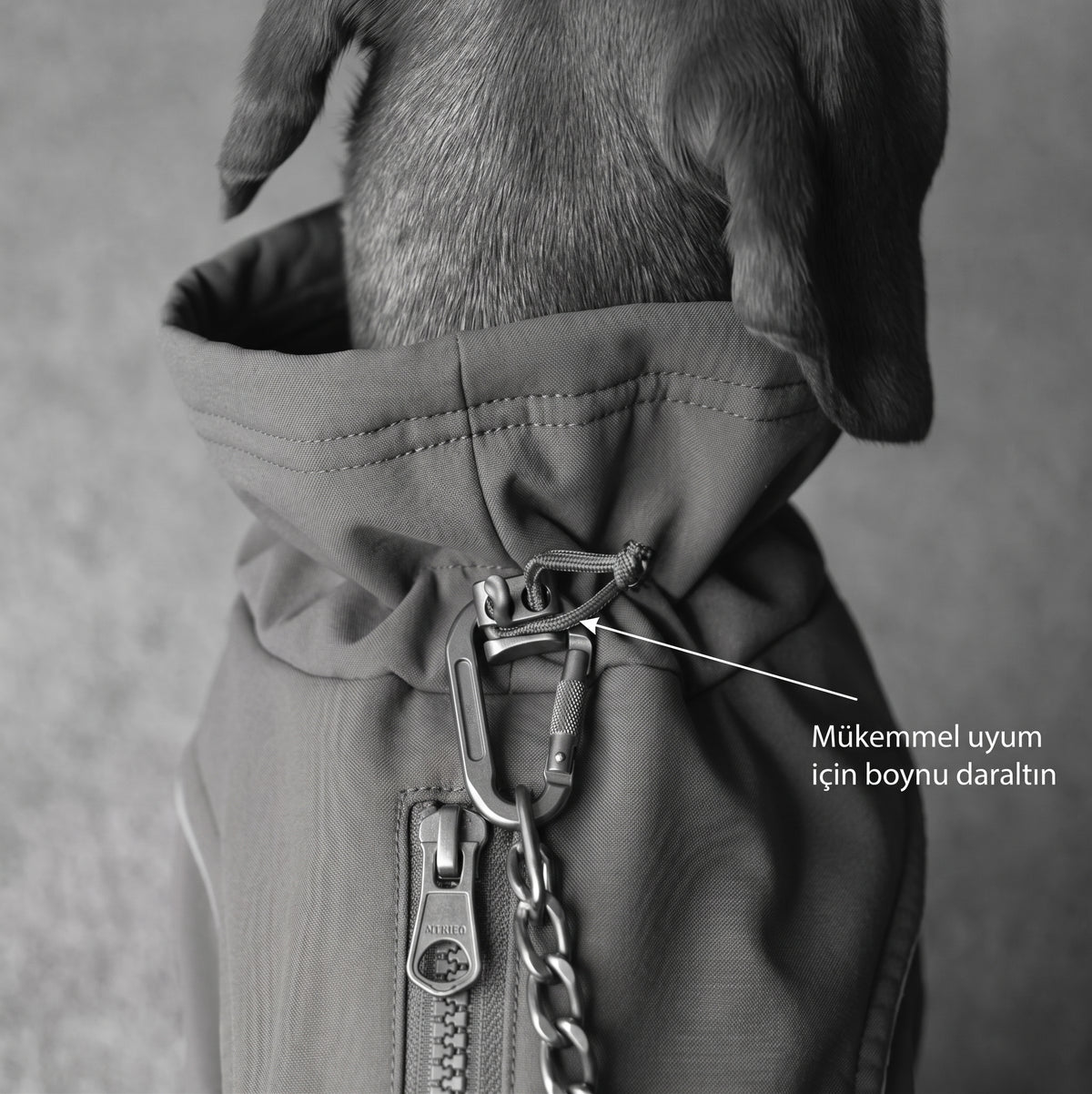 Termal Su Geçirmez Köpek Ceketi