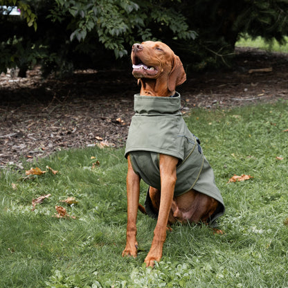 Termal Su Geçirmez Köpek Ceketi